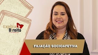 Explica Direito Filiação Socioafetiva  2019 [upl. by Ayekahs]