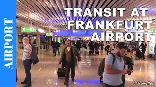 TRANSIT WALK AT FRANKFURT Airport FRA Terminal 1  Connection Flight Transfer Arriving amp Departing [upl. by Lorry826]